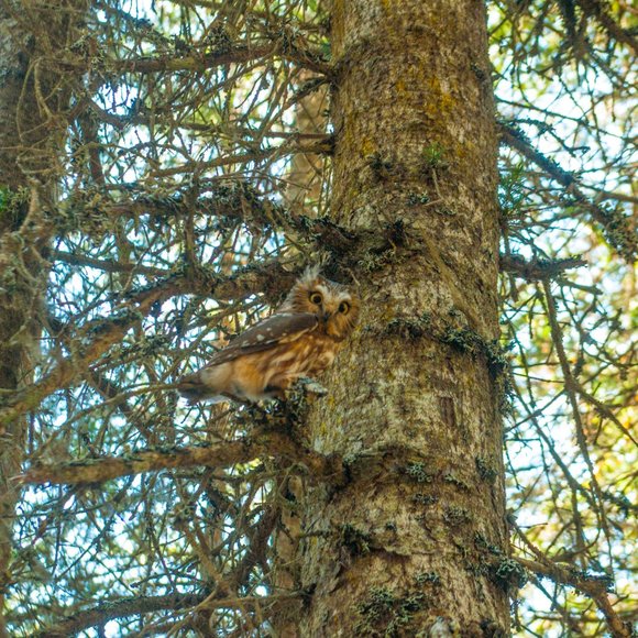 Hey from Across the Bay! ๐ - Picture 6 of 9